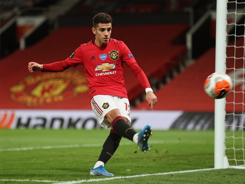 起的希望之 起的希望之